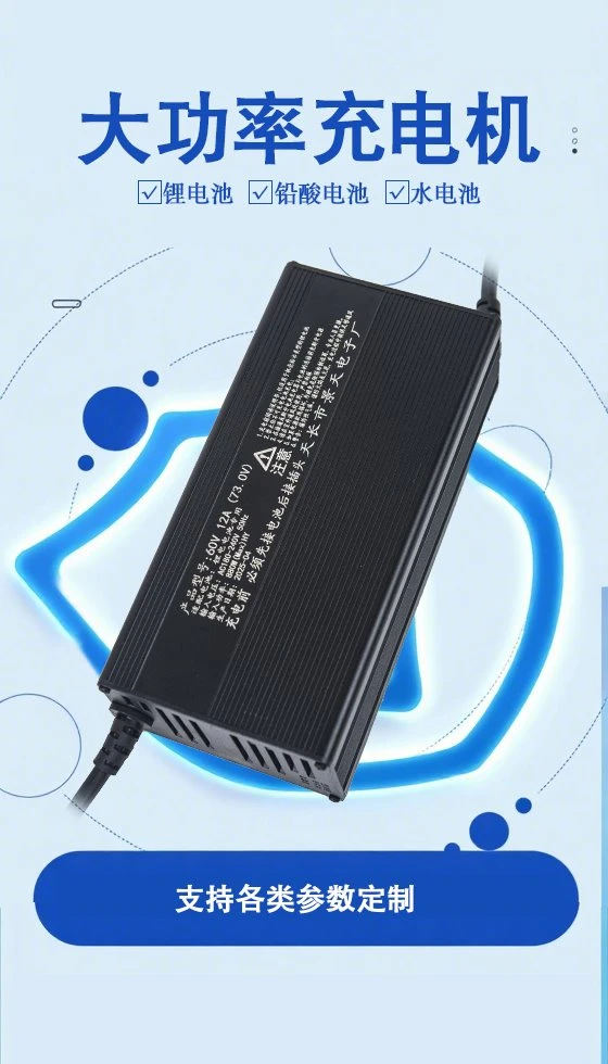Lithium Compatible Battery Charger